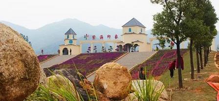 幸运彩票网址
