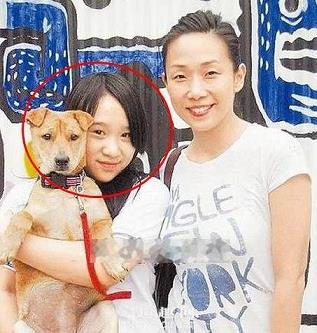 麻将胡了2游戏网站